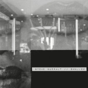 <span class="hide-the-artist">Steve Queralt<br></span>Swallow