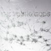 <span class="hide-the-artist">The Young Gods<br></span>Appear Disappear