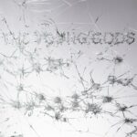 <span class="hide-the-artist">The Young Gods<br></span>Appear Disappear
