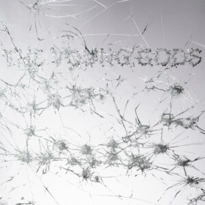 <span class="hide-the-artist">The Young Gods<br></span>Appear Disappear