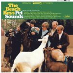 <span class="hide-the-artist">The Beach Boys<br></span>Pet Sounds