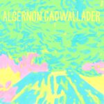 <span class="hide-the-artist">Algernon Cadwallader<br></span>Trying Not To Have A Thought