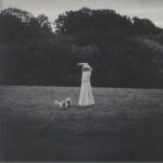 <span class="hide-the-artist">Yoshika Colwell<br></span>On The Wing