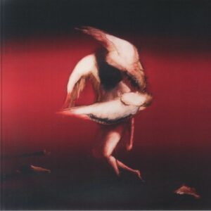 <span class="hide-the-artist">Maruja<br></span>Pain To Power (Bone)