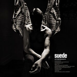 <span class="hide-the-artist">Suede<br></span>Antidepressants