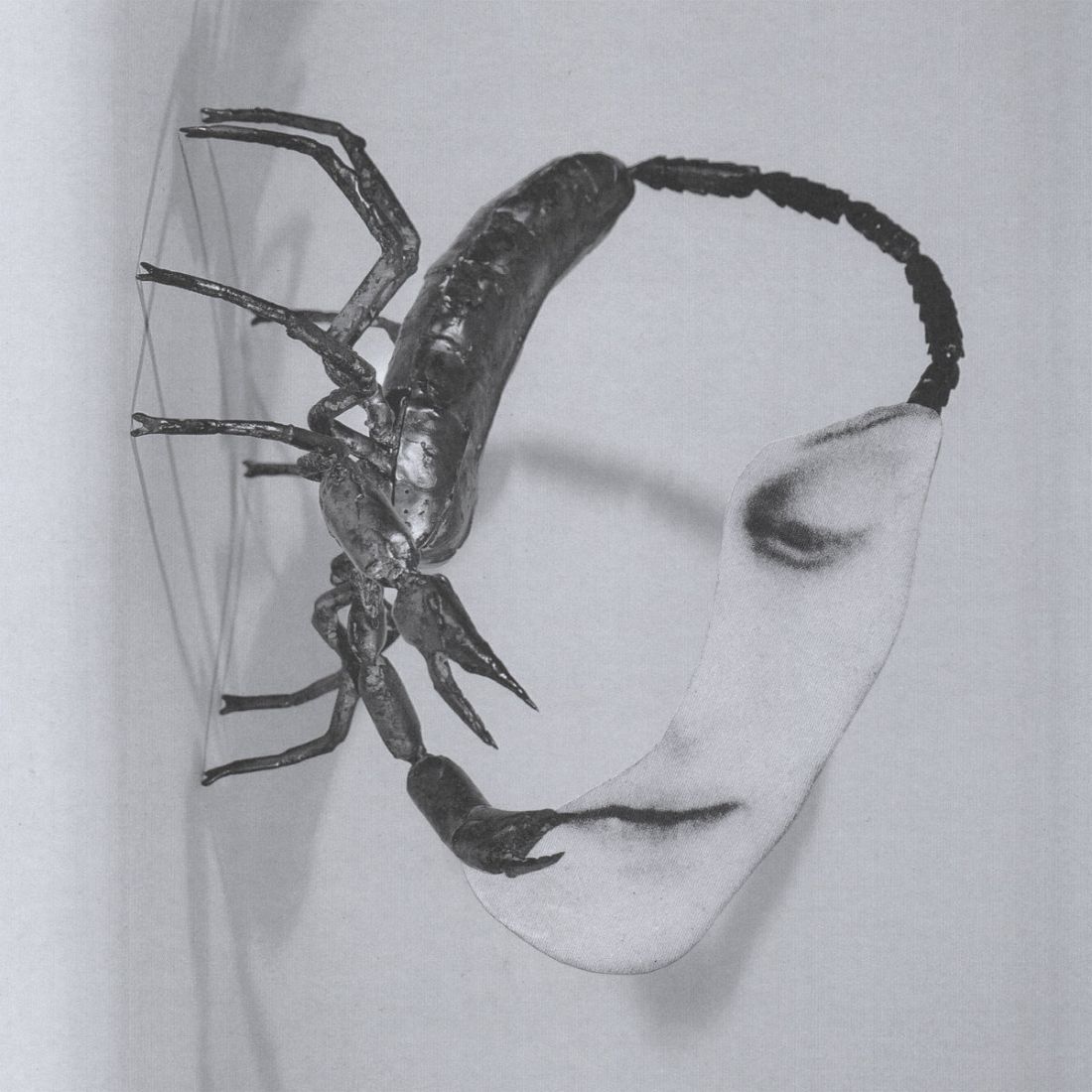 <span class="hide-the-artist">Tortoise<br></span>Touch