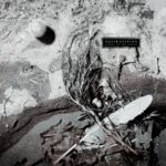 <span class="hide-the-artist">David Sylvian<br></span>Secrets Of The Beehive