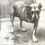 <span class="hide-the-artist">Alice In Chains<br></span>Alice In Chains