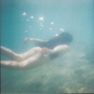 <span class="hide-the-artist">Ichiko Aoba<br></span>Windswept Adan