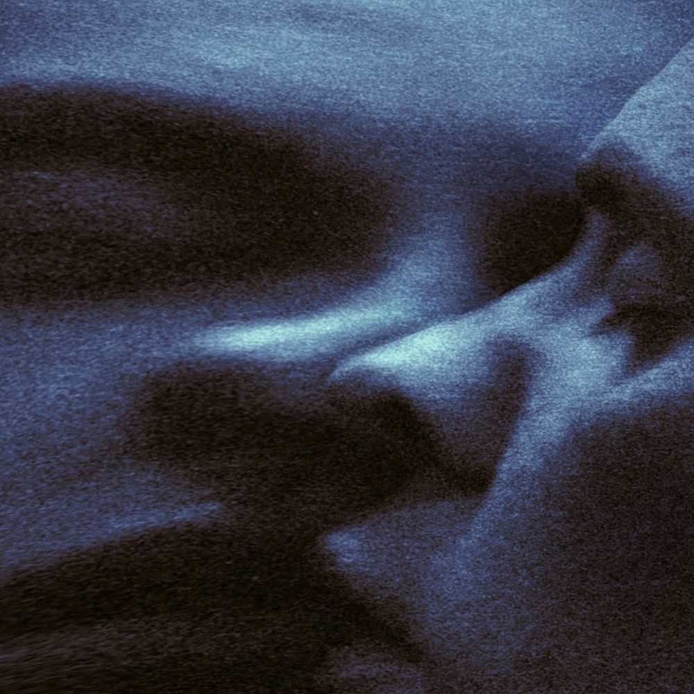 <span class="hide-the-artist">Puma Blue<br></span>Croak Dream