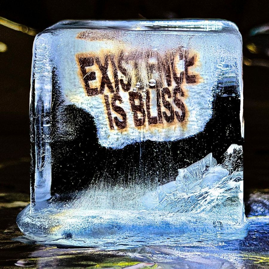 <span class="hide-the-artist">Deadletter<br></span>Existence Is Bliss