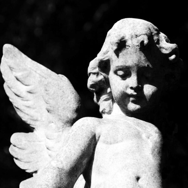 <span class="hide-the-artist">Cold Cave<br></span>Passion Depression