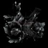 <span class="hide-the-artist">Spotlights<br></span>Love & Decay