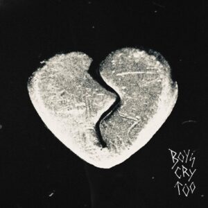 <span class="hide-the-artist">The Haunted Youth<br></span>Boys Cry Too