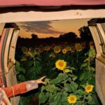 <span class="hide-the-artist">Kevin Morby<br></span>Little Wide Open
