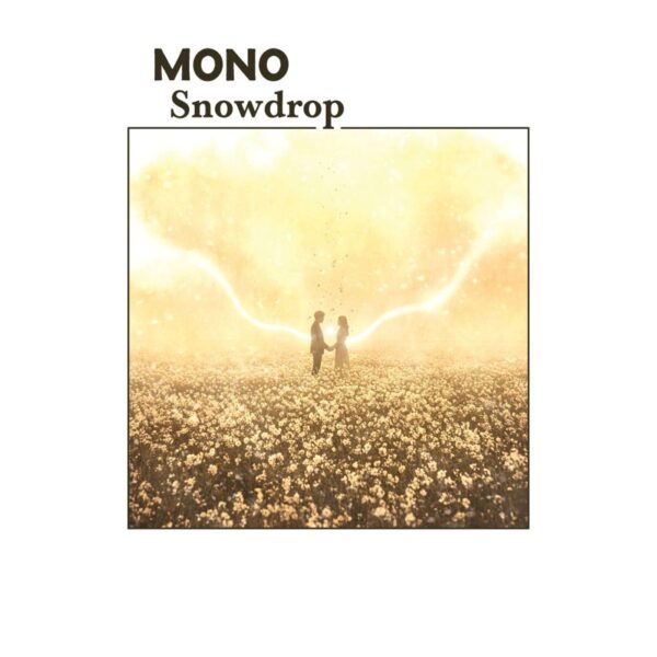 <span class="hide-the-artist">Mono<br></span>Snowdrop