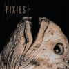 <span class="hide-the-artist">Pixies<br></span>Complete B-Sides 1988-97