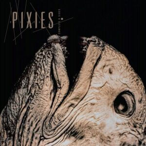 <span class="hide-the-artist">Pixies<br></span>Complete B-Sides 1988-97