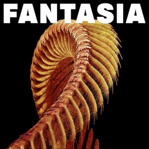<span class="hide-the-artist">Slift<br></span>Fantasia