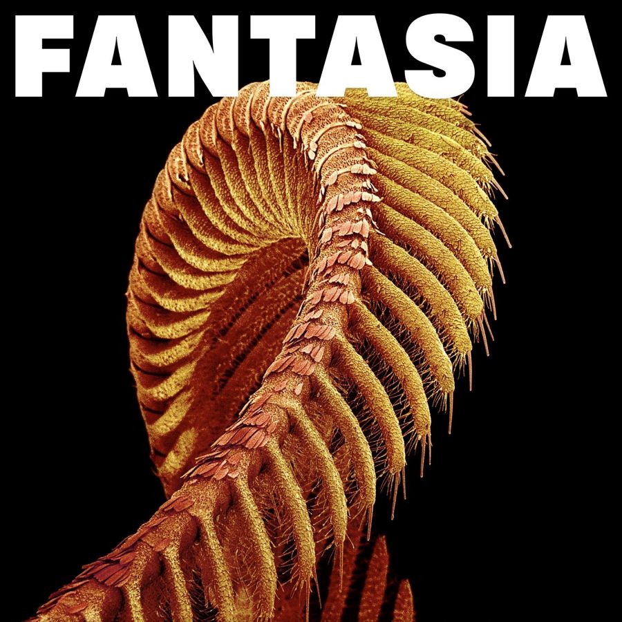 <span class="hide-the-artist">Slift<br></span>Fantasia