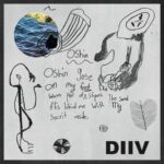 <span class="hide-the-artist">DIIV<br></span>Oshin