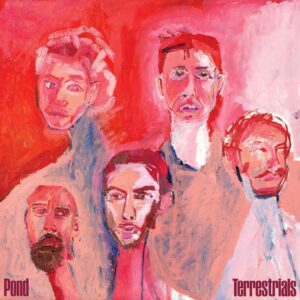 <span class="hide-the-artist">Pond<br></span>Terrestrials