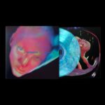 <span class="hide-the-artist">Fontaines D.C.<br></span>Dopamine Chamber