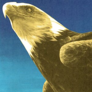 <span class="hide-the-artist">Protomartyr<br></span>Hotel Usona