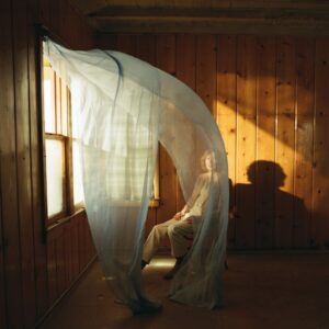 <span class="hide-the-artist">Beck<br></span>Ride Lonesome