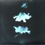 <span class="hide-the-artist">Wasia Project<br></span>Nocturne