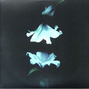 <span class="hide-the-artist">Wasia Project<br></span>Nocturne