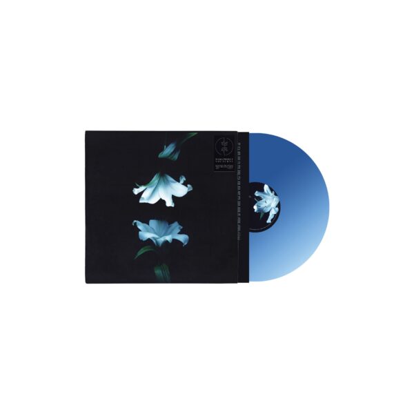 <span class="hide-the-artist">Wasia Project<br></span>Nocturne